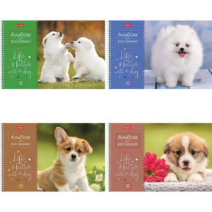 Изображение загружено обработкой