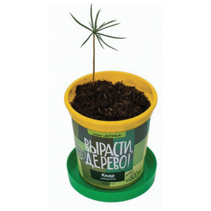 fe55c2c394f8862ae4ba9d41e1d30759_x