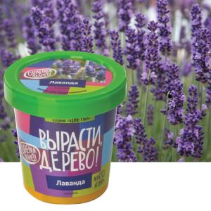 54b430203af1c915dd8c62e4466d19f6_x