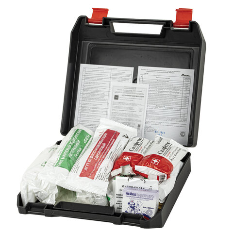 Аптечка первой помощи работникам, по приказу №262н, МИРАЛ, пластиковый кейс, АРПФ-Н 631417 - МСК «Форвард»