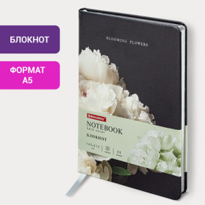 9e404093bc49be5a6db781e31d37ce5d_x