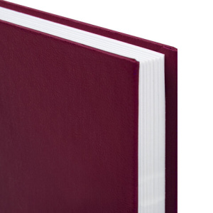 a147a3bc1a00bf7c8aeed1dc5b8a4d2d_x