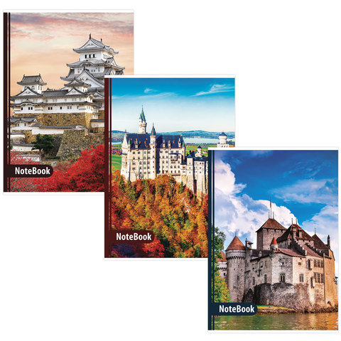 Тетрадь А4 96л. BRAUBERG скоба, клетка, обложка картон, ЗАМКИ, 403070