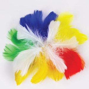 648eb405af724f1ce7e4888efd9bd642_x