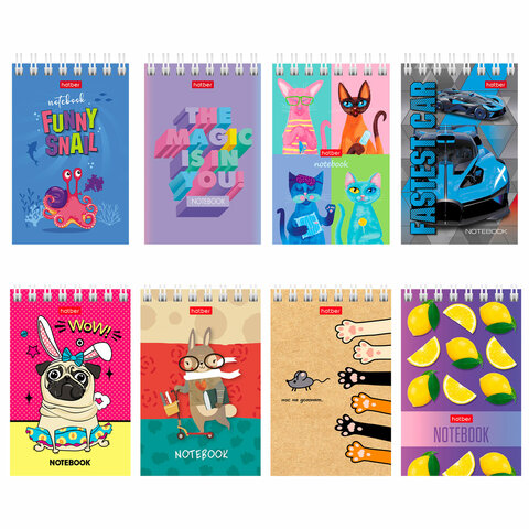 Блокнот МАЛЫЙ ФОРМАТ А7 65х100мм, 40л, гребень, картон, клетка, дисплей, HATBER, Ассорти, 40Б7B1гр B  126353