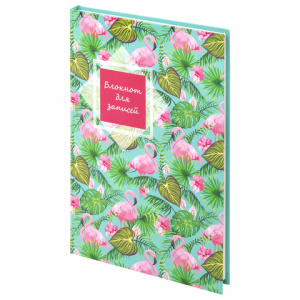 df2babda28361734cb9a5f8e4a822531_x