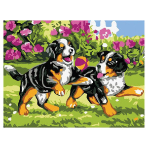 92eddd35bcddae449ac6ddd1222062f9_x