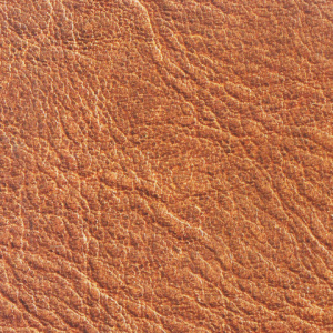 36b032c7a180d2ca13726fccfef7c6f8_x