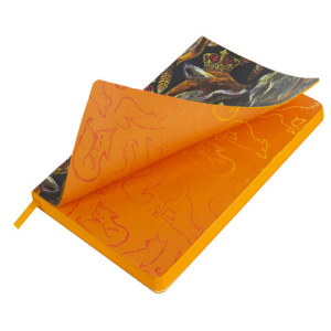 167318523104177ca821e9133f0bccbf_x