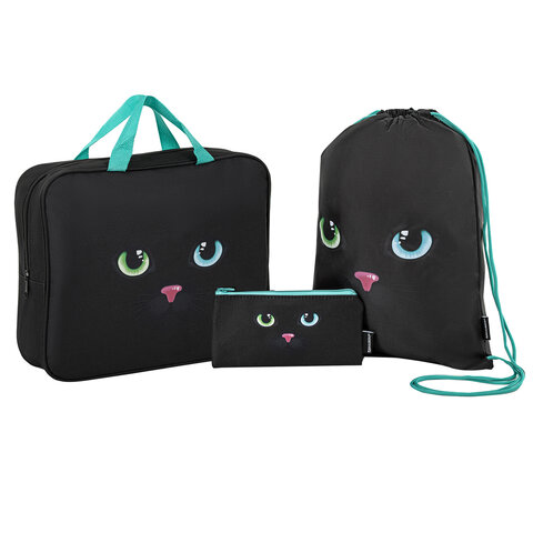 Папка на молнии с ручками А4, мешок для обуви 42х33 см, пенал 20х10 см, "Black cat" НАБОР BRAUBERG, 271434 - МСК «Форвард»
