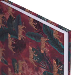 3935b4728a48c75bd2be55e702ac2a2e_x