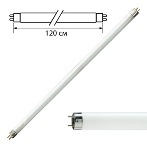 Изображение загружено обработкой