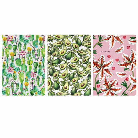 Тетради A5 (147х210мм) 40л НАБОР 3шт. сшивка линия SoftTouch, 70г/м, FLORA, BRAUBERG, 403798