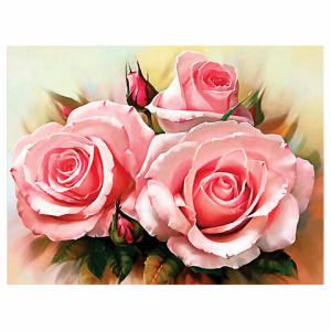 e80c44fa48f79d1e6797265cc645cf49_x