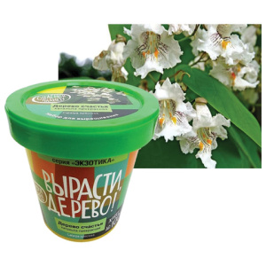 1d24907bedf3a5d92b82f41846b93808_x