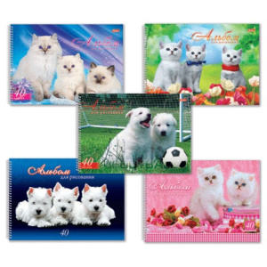 Изображение загружено обработкой