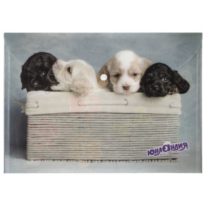 9dd69a846090b624b7066ecdab97f51a_x