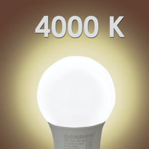 a7f7300834dec8d9eb0fb16ee258cd36_x