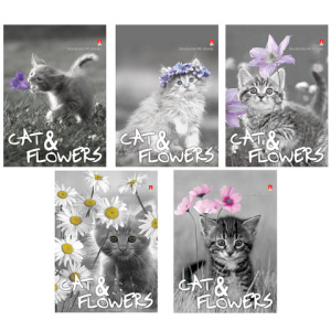 Изображение загружено обработкой