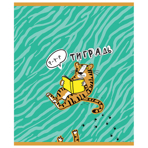 Тетрадь А5 48 л. ПЗБМ, скоба, клетка, фольга, конгрев, TWIN лак, "Тиградь" (5 видов), 029135 404334 - МСК «Форвард»