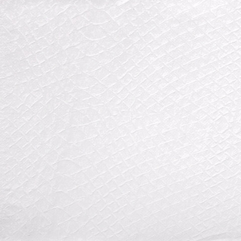 Полотенца бумажные спайка 2 рулона по 80 метров, LAIMA МЕГА РУЛОН, 2 слоя, 20х25 см, 100% целлюлоза, 116377 - МСК «Форвард»