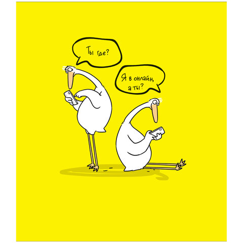 Тетрадь А5 48 л., ПЗБМ, скоба, клетка, матовая ламинация, брайль, "Гуси" (5 видов), 24321 405012 - МСК «Форвард»