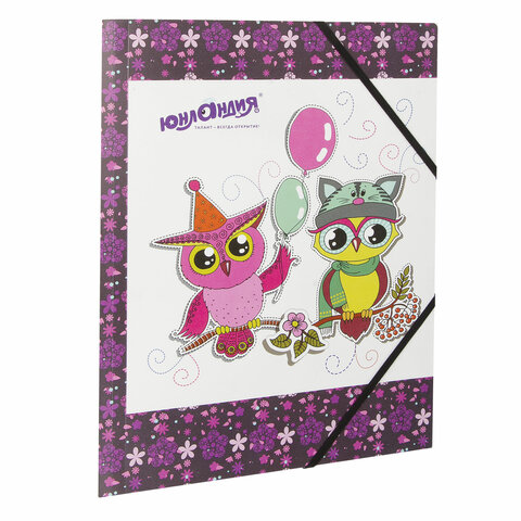 Папка на резинках ЮНЛАНДИЯ "Умные совы, А4, цветная печать, до 300 листов, 500 мкм, 228048