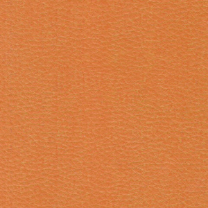 6270039788faeced77ffc65266664dbe_x