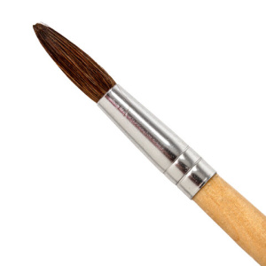 ae1c9036b54019ca74bdc9cbe4e5d645_x