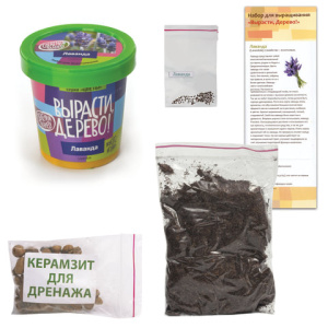 41fca3332c8cd3e365efce2ce3e7b210_x