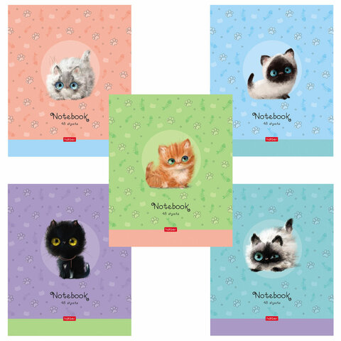 Тетрадь А5 48л. HATBER скоба, клетка, обложка картон, Кошарики (5 видов в спайке), 48Т5В1 404481