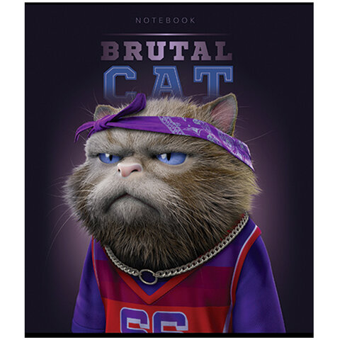 Тетрадь А5 48 л., ПЗБМ, скоба, клетка, конгрев, TWIN-лак, "Брутальные коты" (5 видов), 27391  405008 - МСК «Форвард»