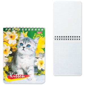 Изображение загружено обработкой