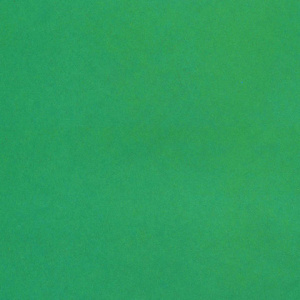 81c8bcdeb5332a39905f65f84dc561ae_x