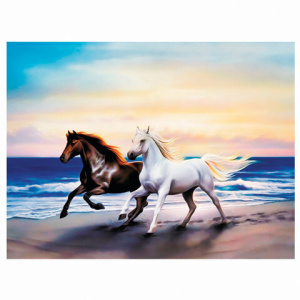 Изображение загружено обработкой