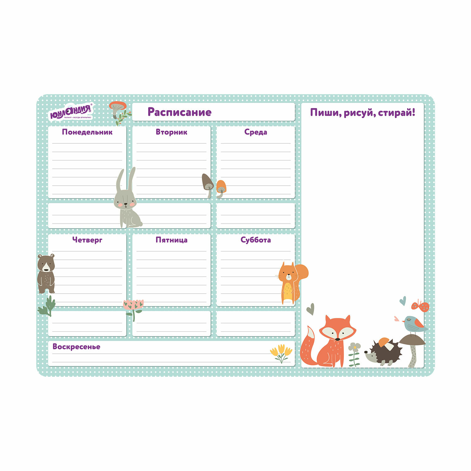 Планинг на холодильник магнитный РАСПИСАНИЕ, 42х30см с маркером и салфеткой, ЮНЛАНДИЯ,237851