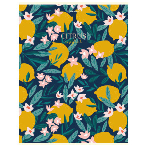 baf55844eaffdec85d912176f67a1732_x