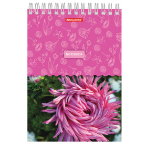 85aaf9d311b52f2a3efc7cf0cd50c70d_x