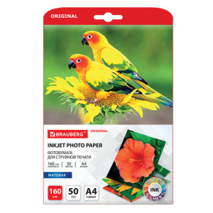 b888de8981561006157f5f9b80bd601c_x