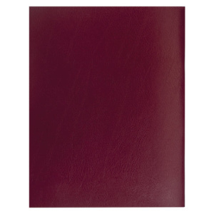 46d76f9dec0b334b27ab96201d314e37_x