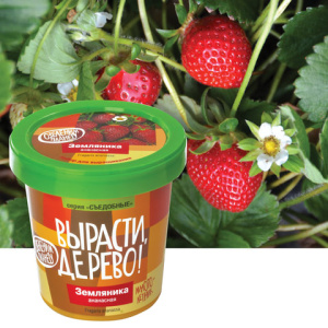 2b737d82864a85d4fea6022e6a5f9b58_x