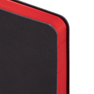 43b2f114776576b35b1f46a92fddaab2_x