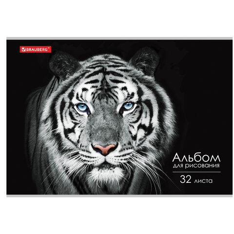 Альбом д/рис. А4 32л., скоба, обложка картон, BRAUBERG, 202х285мм, Тигр (1 вид), 105610