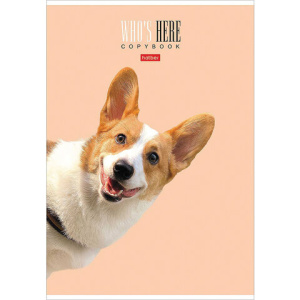 fe2e985adbc9d8e41787c1d6a2af9e8c_x