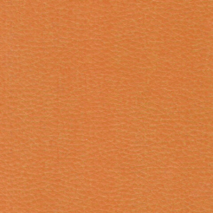 0851460edcf42e04db98948c865c2a2f_x