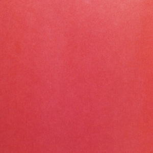 66ad1aff41dc09e0f84abdac5fa48df7_x