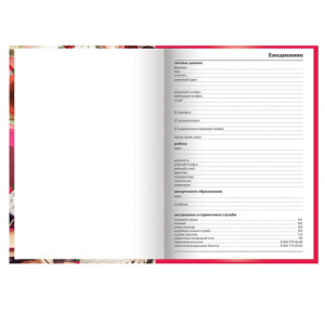 43246b130e14572b845a29e519b42dac_x