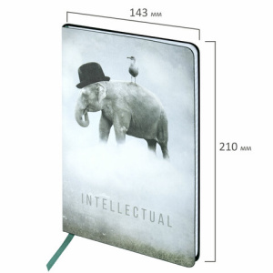 8cab53ba1d6fe4e3f998e491b08831ec_x