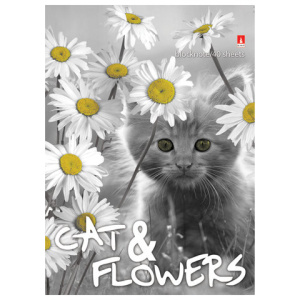 ece9c22a2468d6996416e027924032e1_x