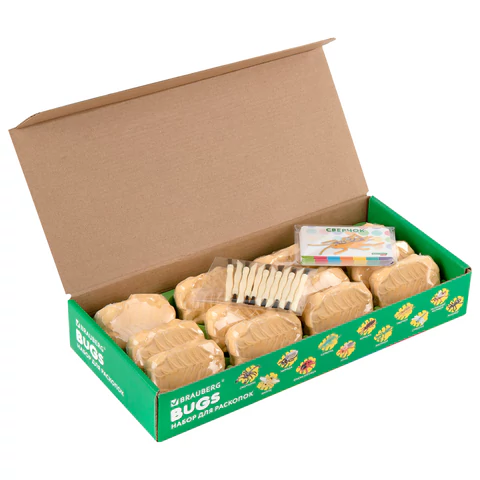 Набор для раскопок "Насекомые", 12 видов, карточки, инструменты, BRAUBERG KIDS, 665127 - МСК «Форвард»